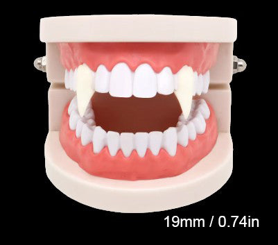 Vampire Teeth Fangs / Solid Glue Adhesive