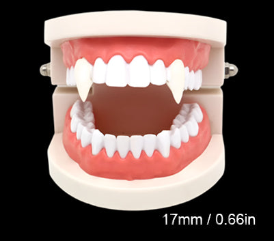 Vampire Teeth Fangs / Solid Glue Adhesive