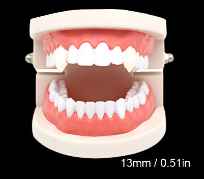 Vampire Teeth Fangs / Solid Glue Adhesive