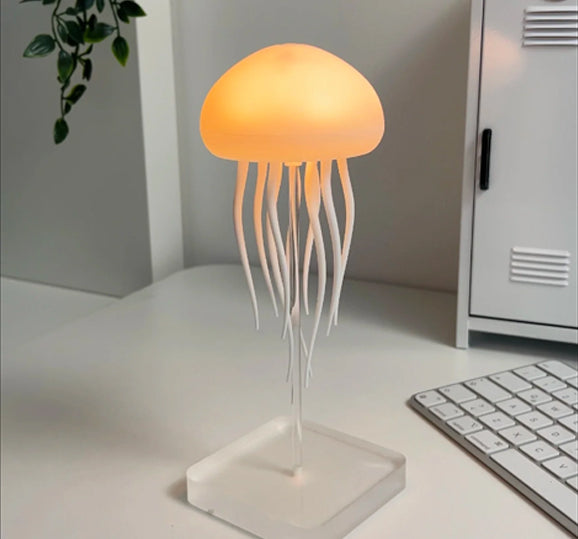 Jellyfish Lamp